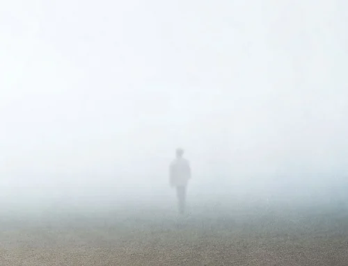 We’re Launching Invisible Fences for Humans — and They’re Flying Off the Shelves